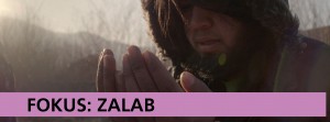 Fokus: ZaLab